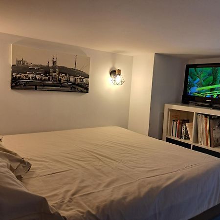 Fontaines-sur-Saone Studio Cosy Entierement Renove A Deux Pas De Lyon מראה חיצוני תמונה